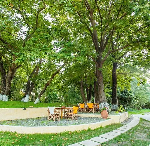 Billy's House Vasiliki