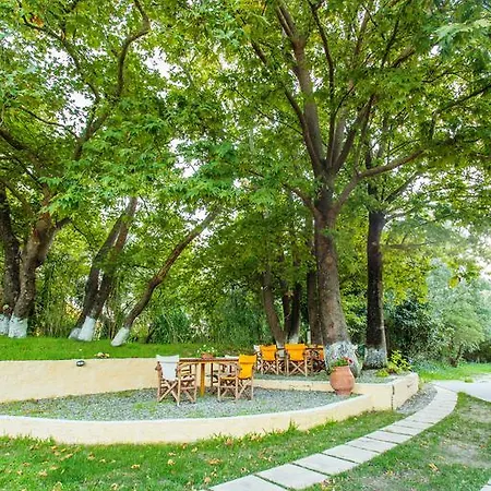 Billy's House Βασιλική